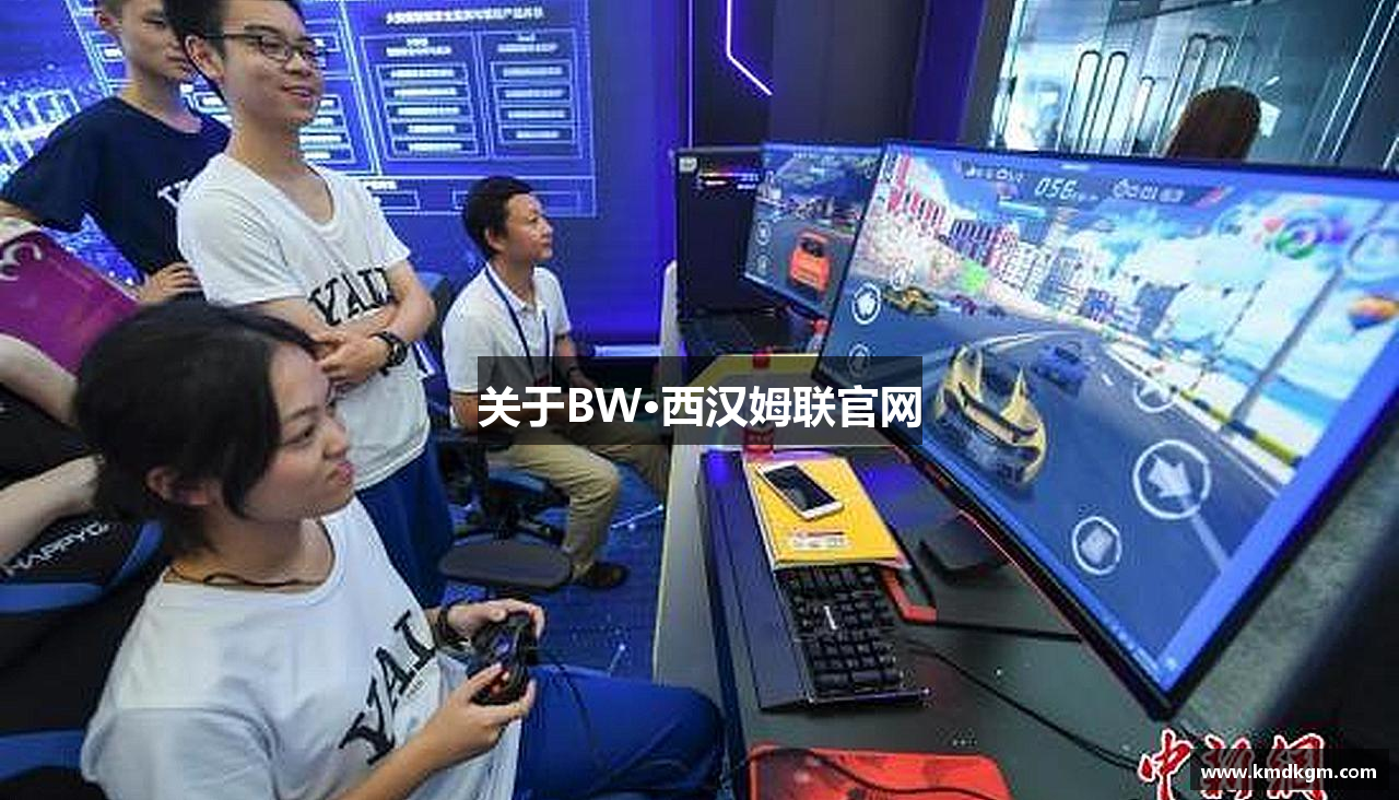 关于BW·西汉姆联官网